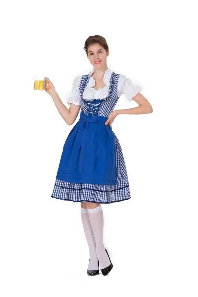 Design Traditional Bavarian Dirndl Dress Blue and White Gingham with White Blouse and Black Heels Dress - 11