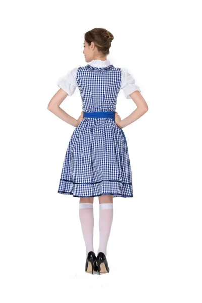 Design Traditional Bavarian Dirndl Dress Blue and White Gingham with White Blouse and Black Heels Dress - 17