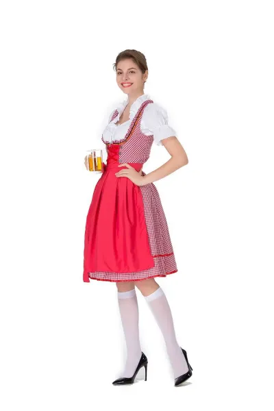 Design Traditional Bavarian Dirndl Dress Blue and White Gingham with White Blouse and Black Heels Dress - 9