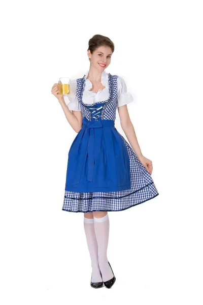 Design Traditional Bavarian Dirndl Dress Blue and White Gingham with White Blouse and Black Heels Dress - 12