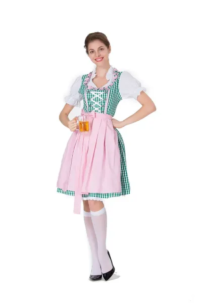 Design Traditional Bavarian Dirndl Dress Blue and White Gingham with White Blouse and Black Heels Dress - 22