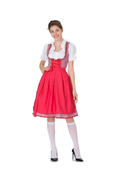 Design Traditional Bavarian Dirndl Dress Blue and White Gingham with White Blouse and Black Heels Dress - 7