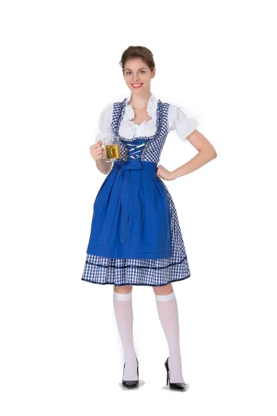 Design Traditional Bavarian Dirndl Dress Blue and White Gingham with White Blouse and Black Heels Dress - 14