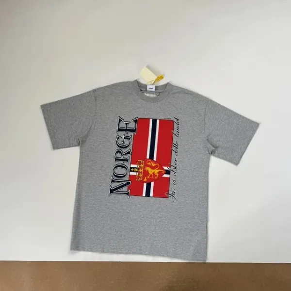 Design Norway National Team Vintage Graphic T-Shirt Gray T-Shirts - 14