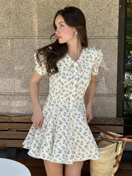 Design Floral Peter Pan Collar Dress with Pompom Trim Beige Blue Casual Dress - 4