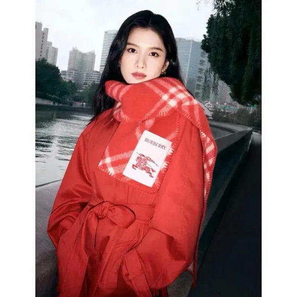 Burberry Classic Check Cashmere Scarf Red Scarves - 5