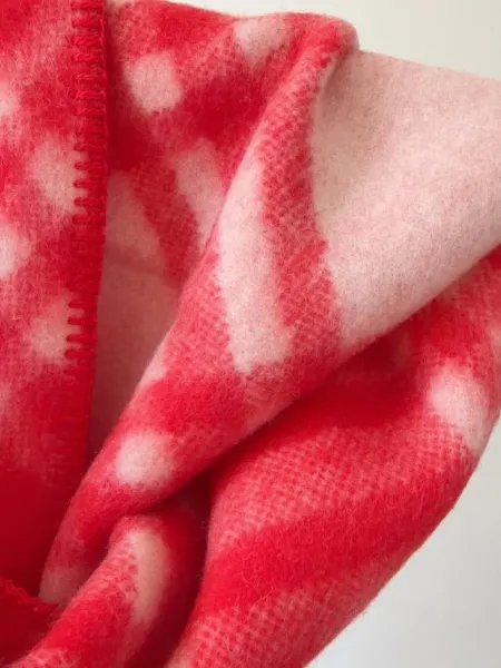 Burberry Classic Check Cashmere Scarf Red Scarves - 27