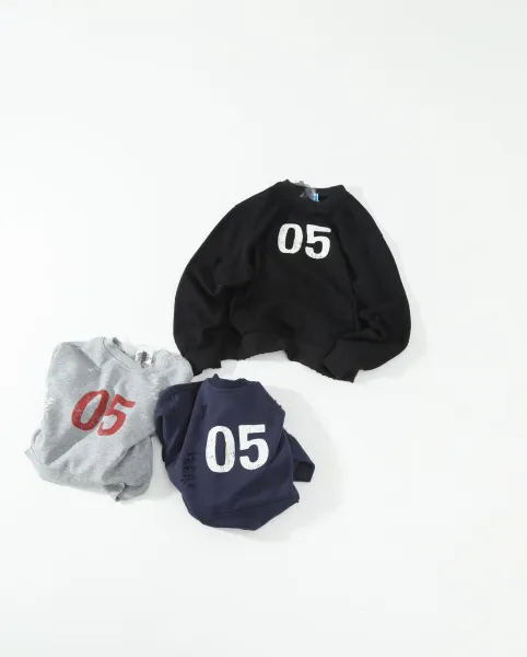 Design 05 Distressed Graphic Hoodie Gray - 2