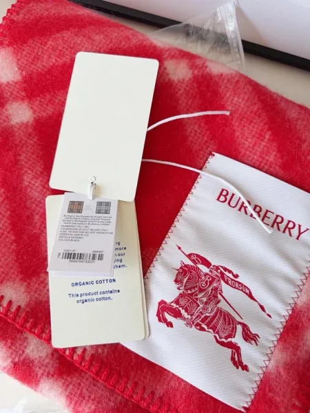 Burberry Classic Check Cashmere Scarf Red Scarves - 29