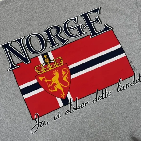 Design Norway National Team Vintage Graphic T-Shirt Gray T-Shirts - 18