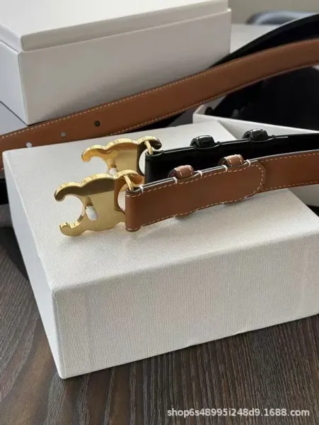 Celine Triomphe Belt Tan Leather Gold-Tone Hardware - 3