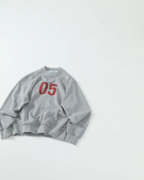 Design 05 Distressed Graphic Hoodie Gray - 1