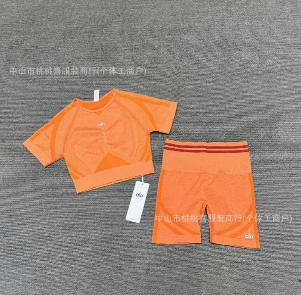 Alo Yoga Performance Crop Top and Biker Shorts Set Gray Activewear - 14