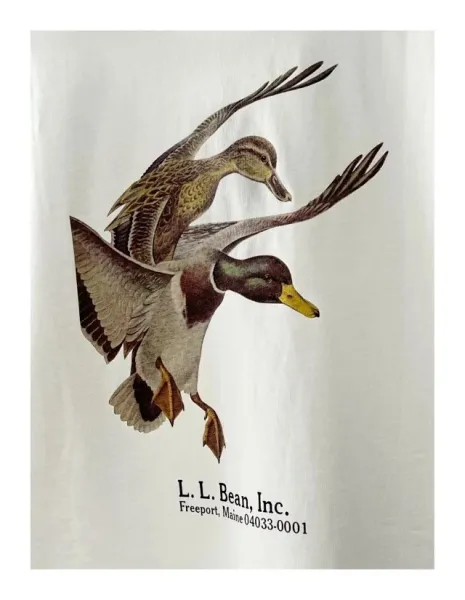 Design L.L. Bean Inc. Duck and Basset Hound Graphic T-Shirt White / Heather Gray T-Shirts - 20