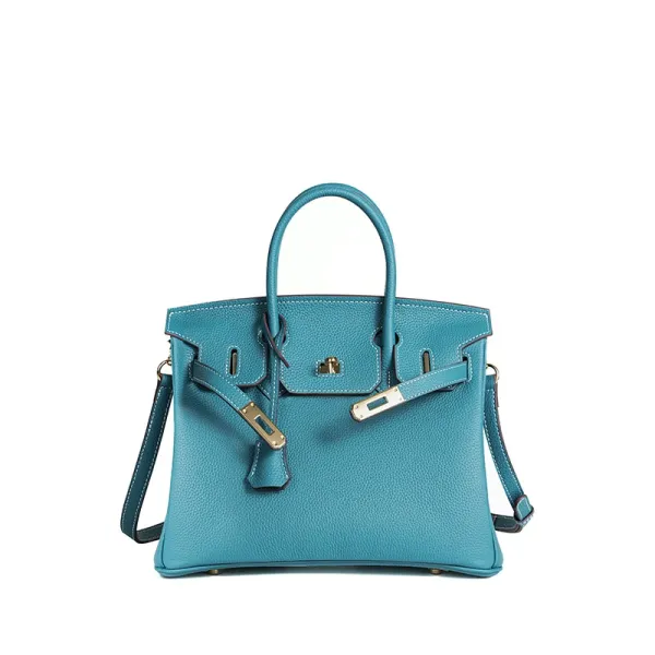 Hermès Birkin 25cm Turquoise Togo Leather Handbag - 1