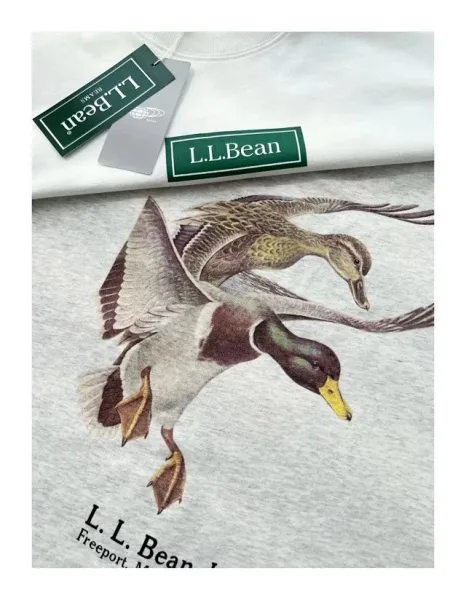 Design L.L. Bean Inc. Duck and Basset Hound Graphic T-Shirt White / Heather Gray T-Shirts - 24