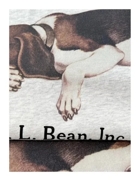 Design L.L. Bean Inc. Duck and Basset Hound Graphic T-Shirt White / Heather Gray T-Shirts - 30