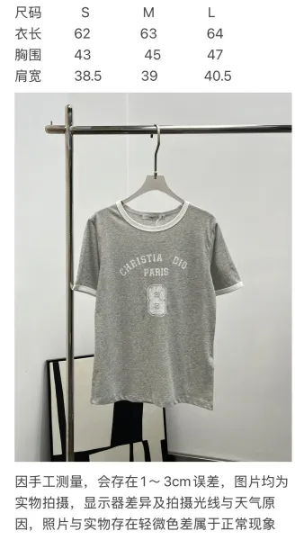 Dior Christia Dio Paris Ringer T-Shirt Gray - 2
