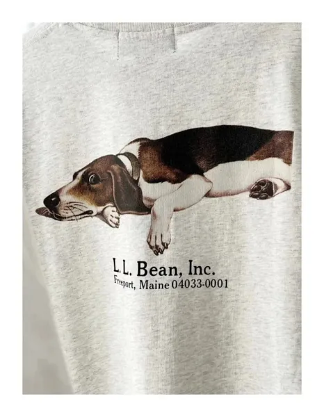 Design L.L. Bean Inc. Duck and Basset Hound Graphic T-Shirt White / Heather Gray T-Shirts - 21