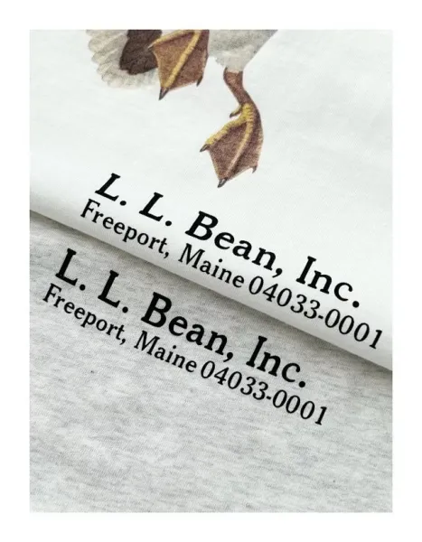 Design L.L. Bean Inc. Duck and Basset Hound Graphic T-Shirt White / Heather Gray T-Shirts - 27