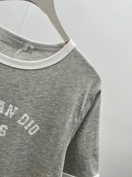 Dior Christia Dio Paris Ringer T-Shirt Gray - 13