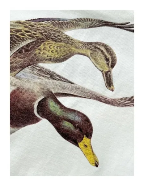 Design L.L. Bean Inc. Duck and Basset Hound Graphic T-Shirt White / Heather Gray T-Shirts - 26