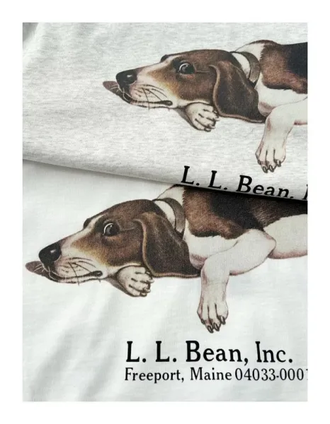 Design L.L. Bean Inc. Duck and Basset Hound Graphic T-Shirt White / Heather Gray T-Shirts - 23