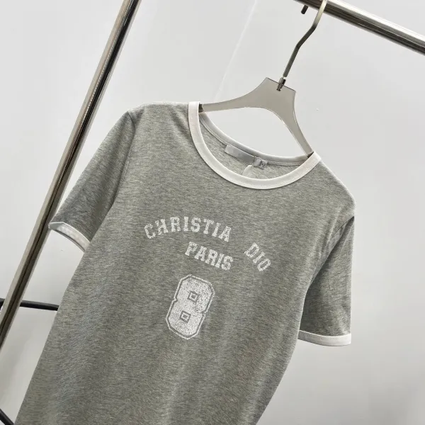 Dior Christia Dio Paris Ringer T-Shirt Gray - 9