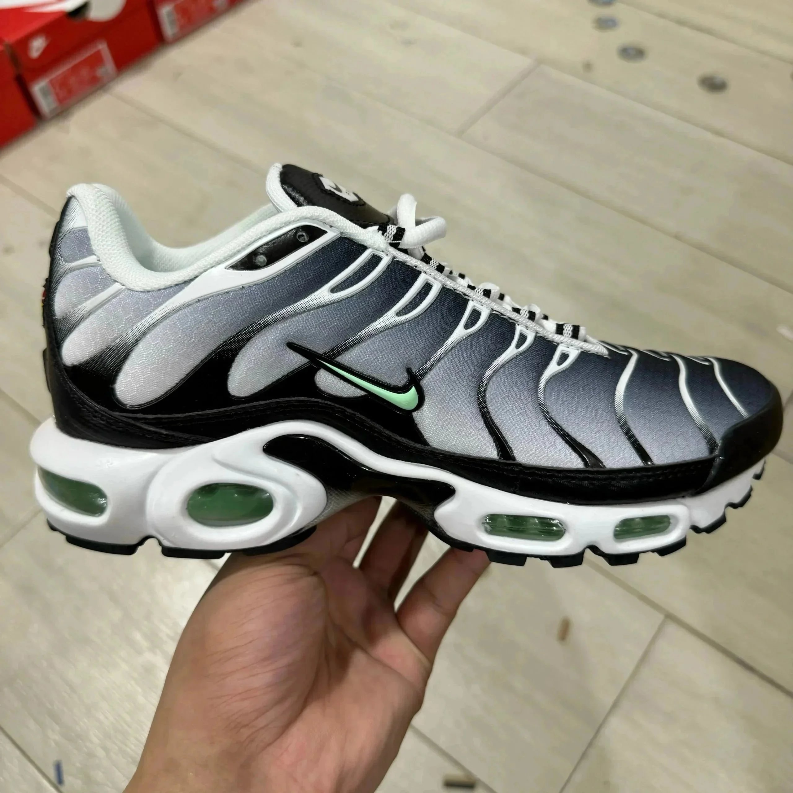 Product 15 Gradient