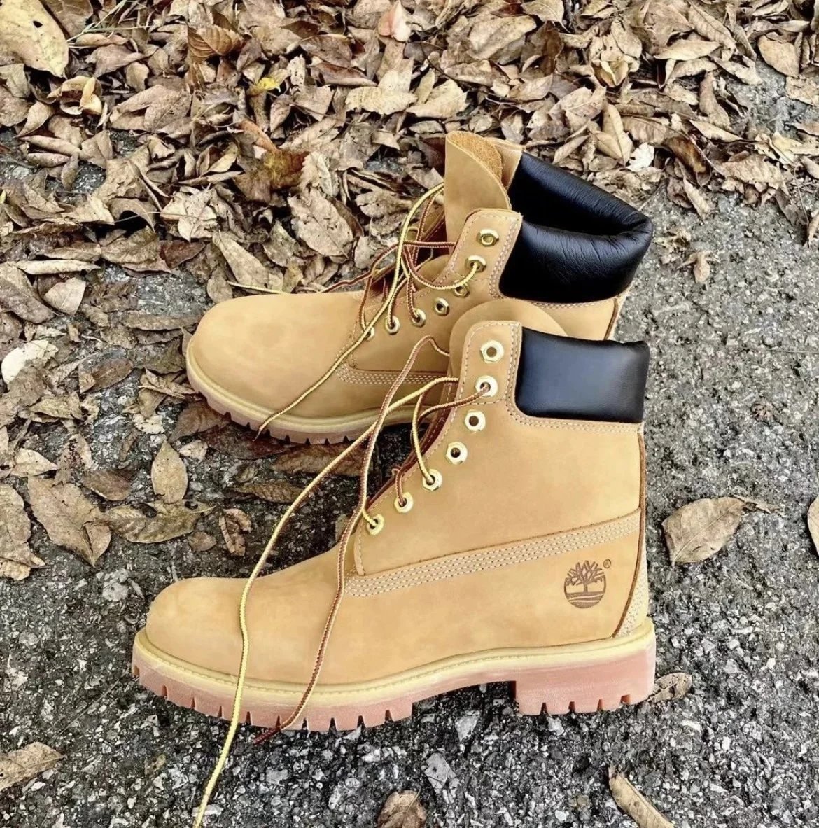 TIMBERLAND