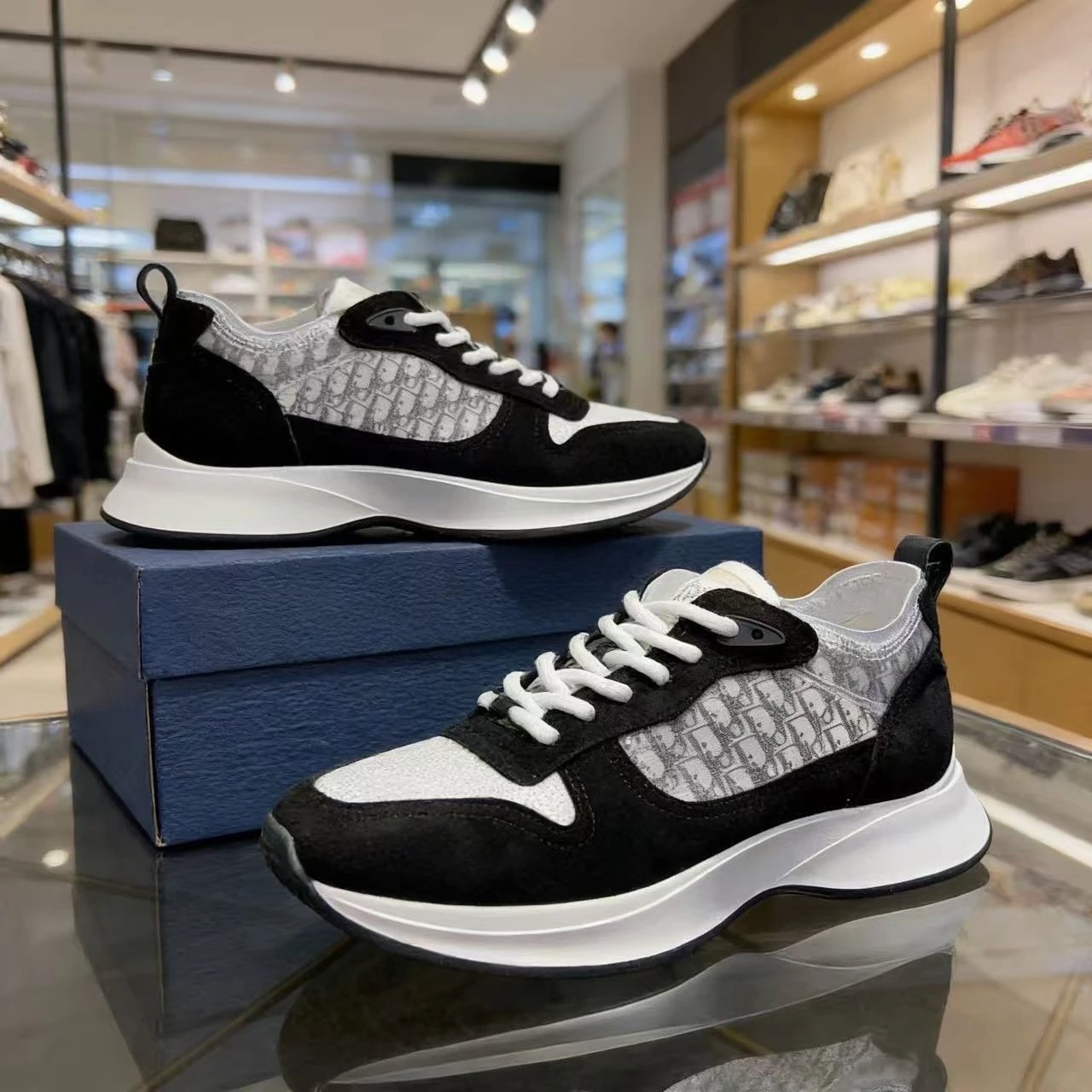 DIOR B25