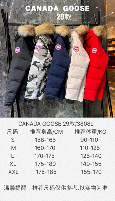 Canada Goose down jacket: seller detail photo 2
