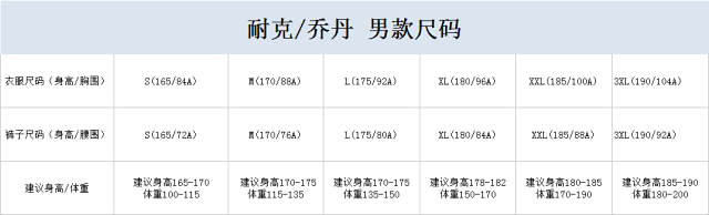 Nike down jacket: seller detail photo 1