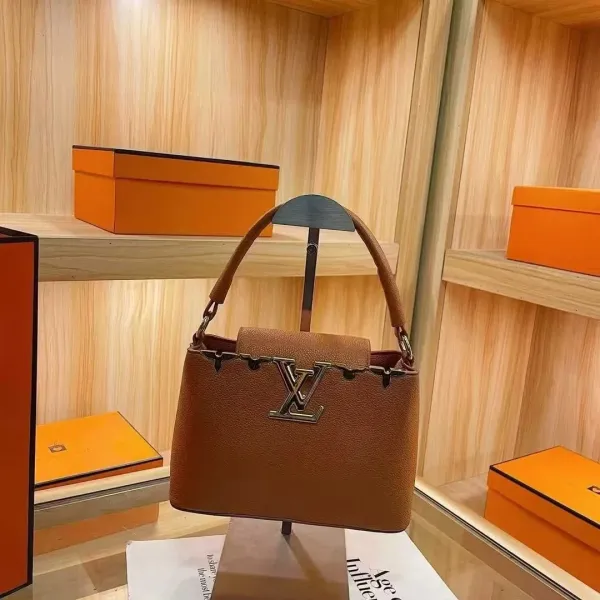 Louis Vuitton Pont-Neuf Brown Taurillon Leather Handbag - 1