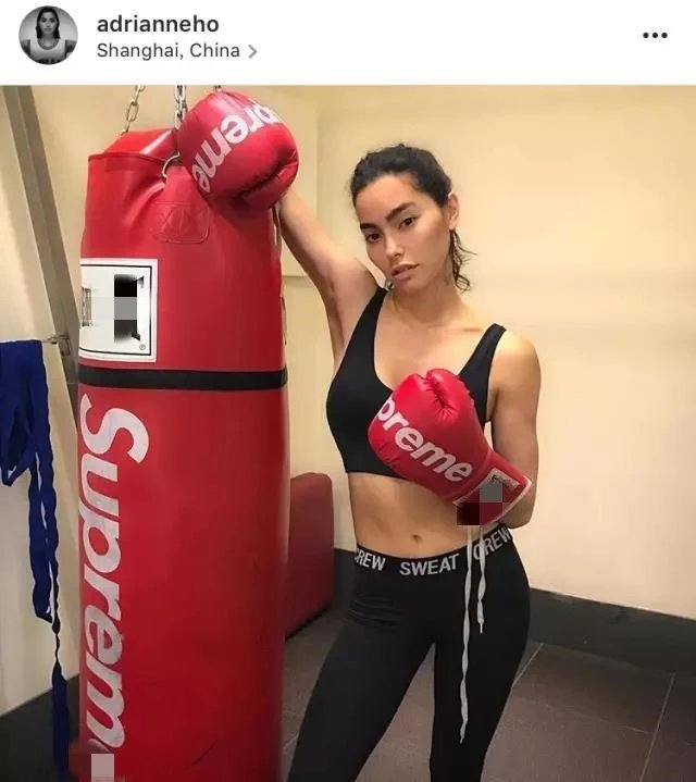 Supreme Boxing Gloves