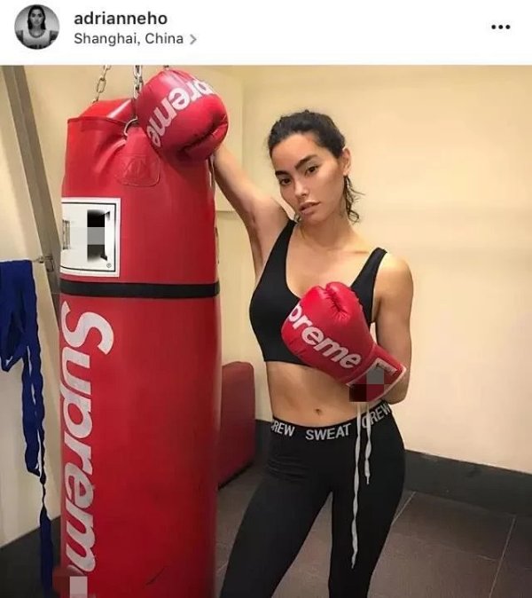 Supreme Boxing Gloves