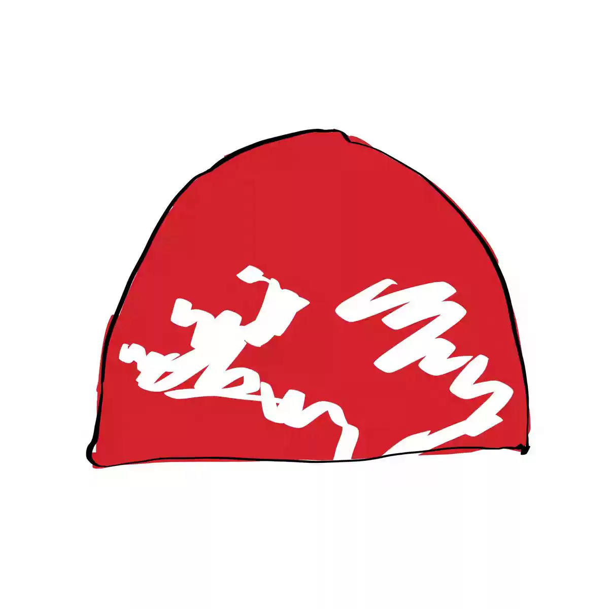 PPSC A3 Beanie photo 4