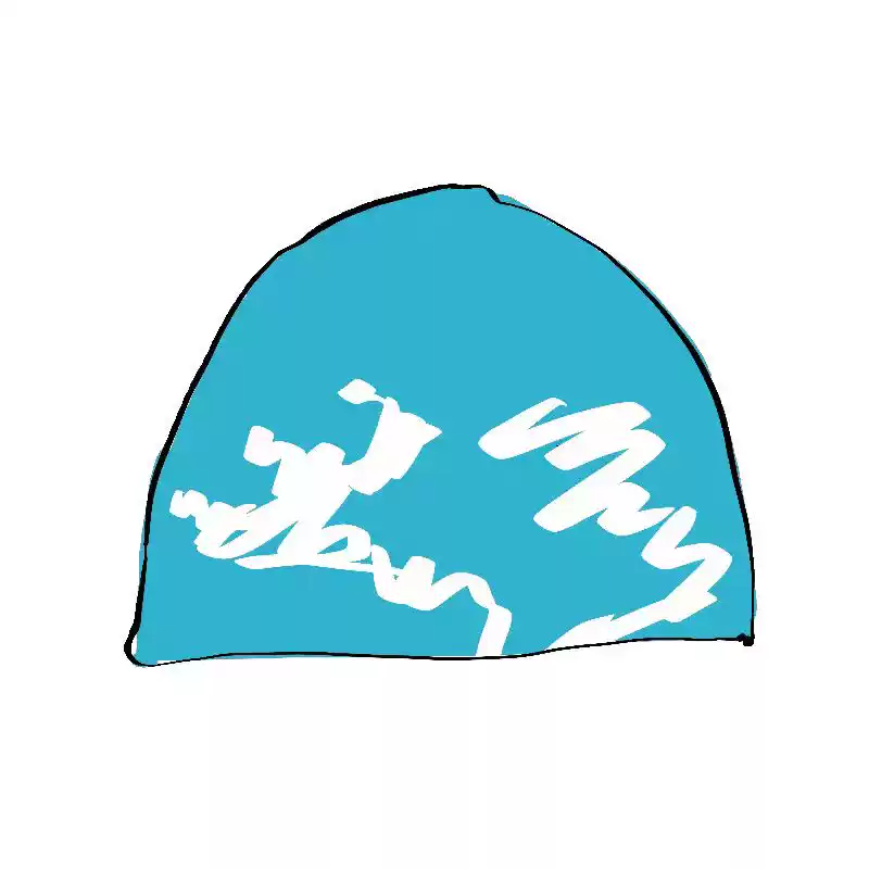 PPSC A3 Beanie photo 3