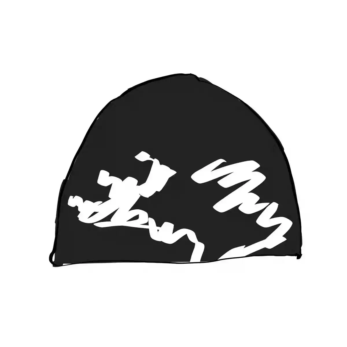 PPSC A3 Beanie photo 2