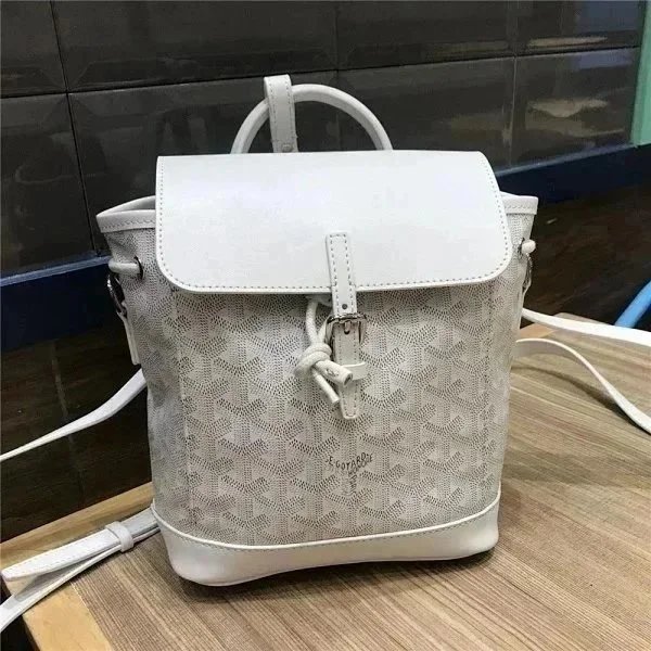 Goyard Saint Louis PM Blue Canvas Crossbody Bag - 6