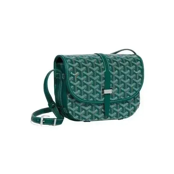 Goyard Saint Louis PM Green Goyardine Crossbody Bag - 1