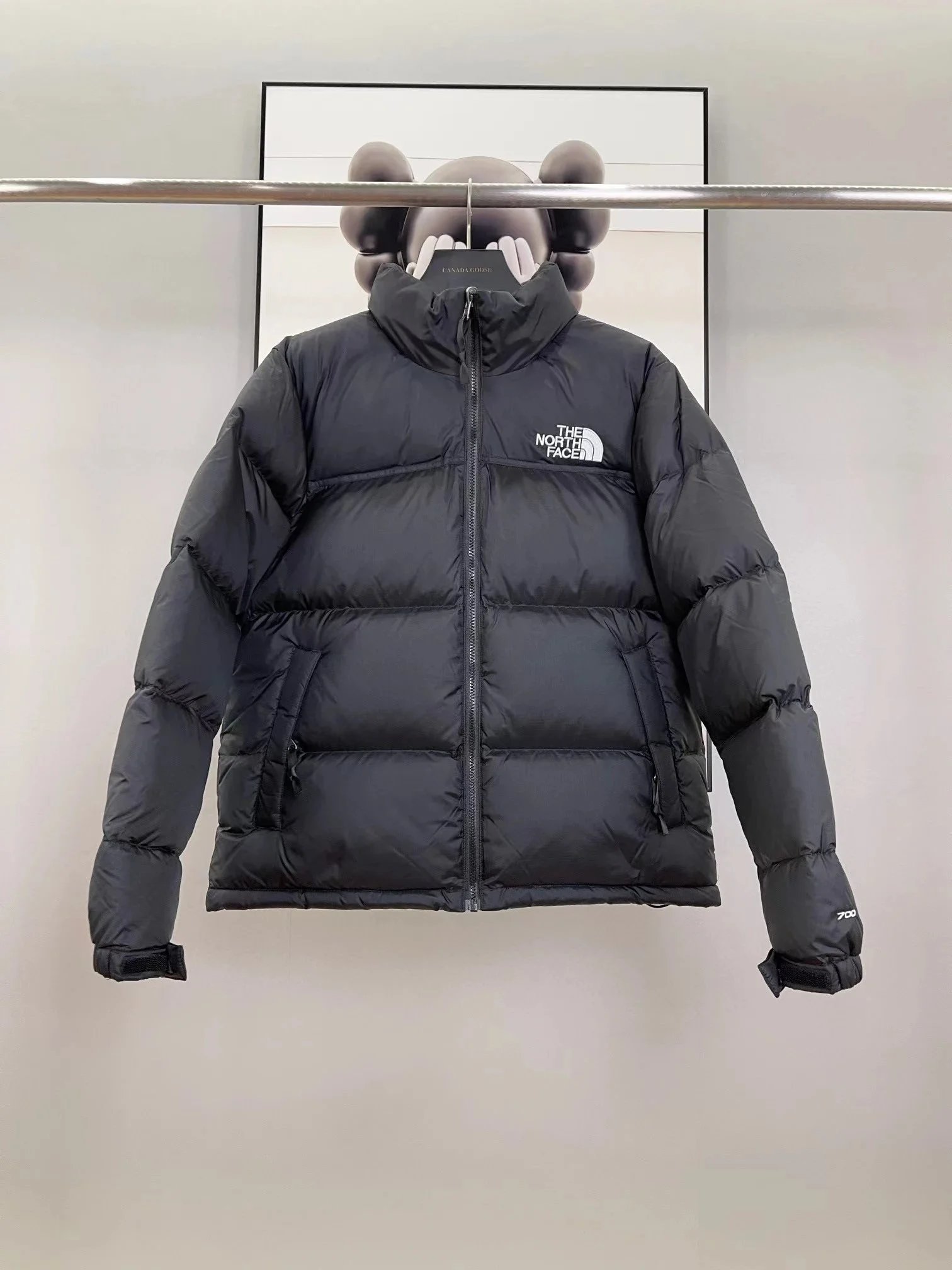 The North Face 700 Fill Winter Down Jacket