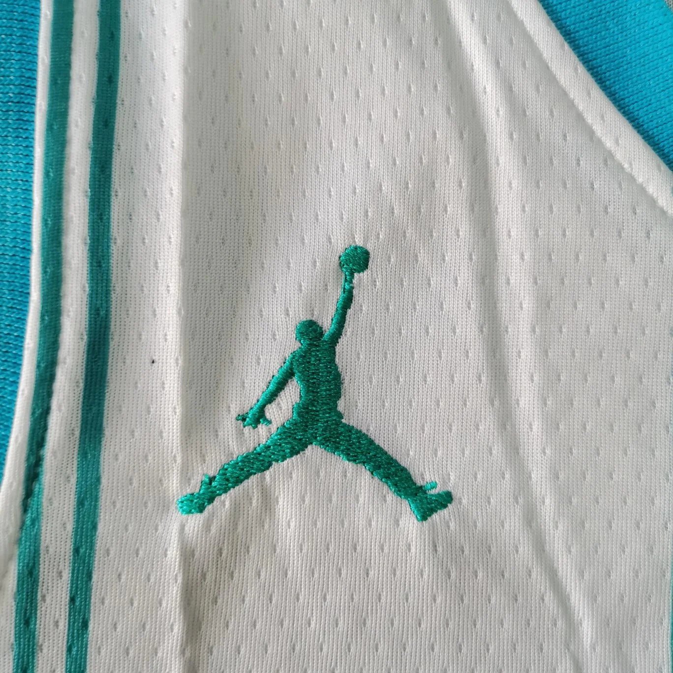 Charlotte Hornets Nike NBA Swingman Jersey Teal Blue Activewear - 9