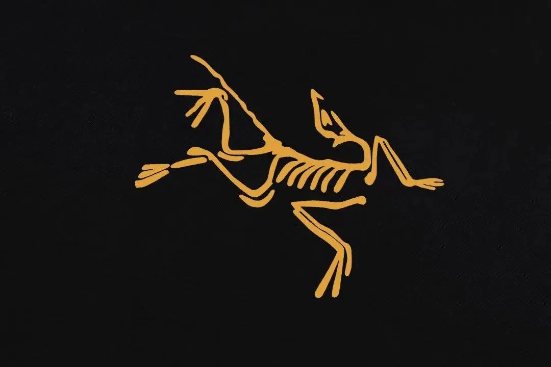 Saint Tears Frog Circle Print Black T-Shirt - 5