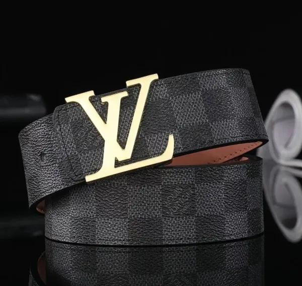 Louis Vuitton Damier Graphite Belt with Gold-Tone LV Buckle - 1