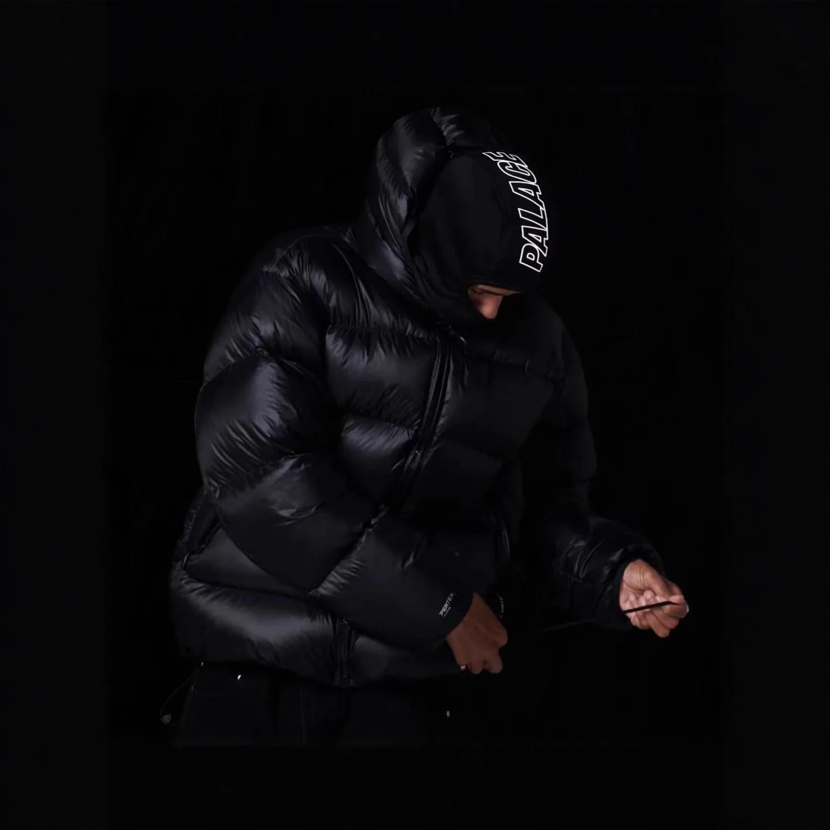 Palace Puffer Jackets