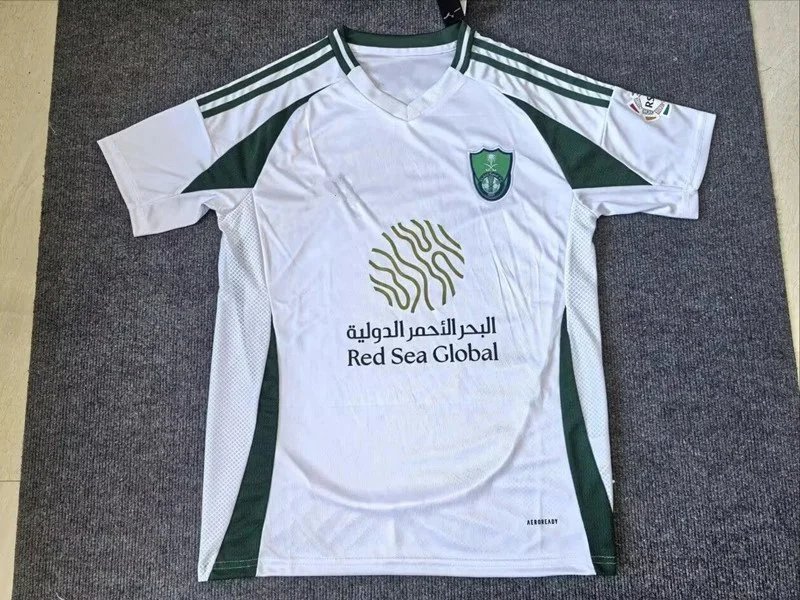 2425沙特阿拉伯国民主场