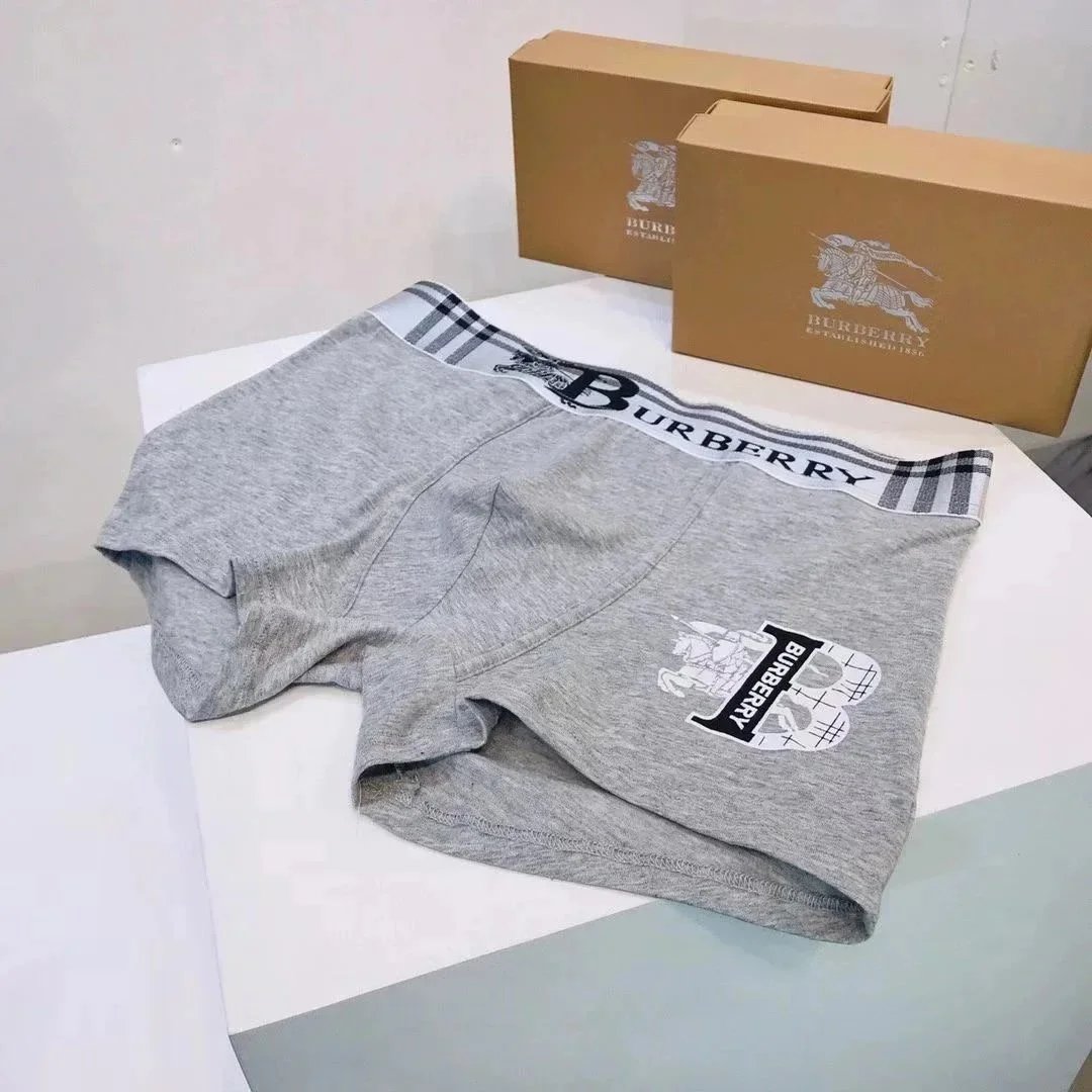 Burberry Classic Navy Gray Black Logo Waistband Boxer Briefs