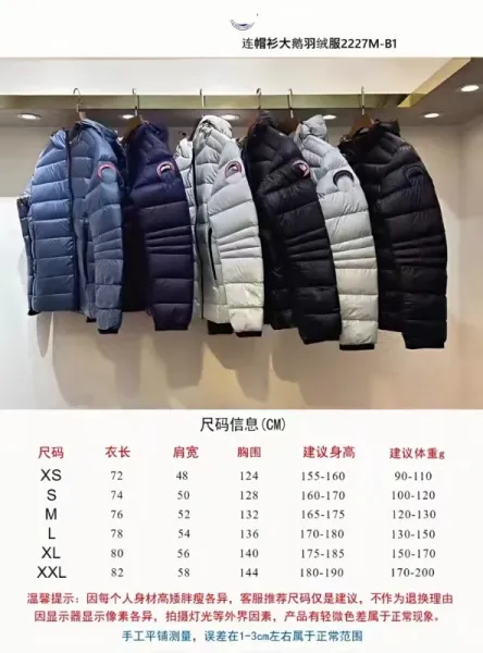 Canada Goose Langford Down Jacket Light Gray - 2