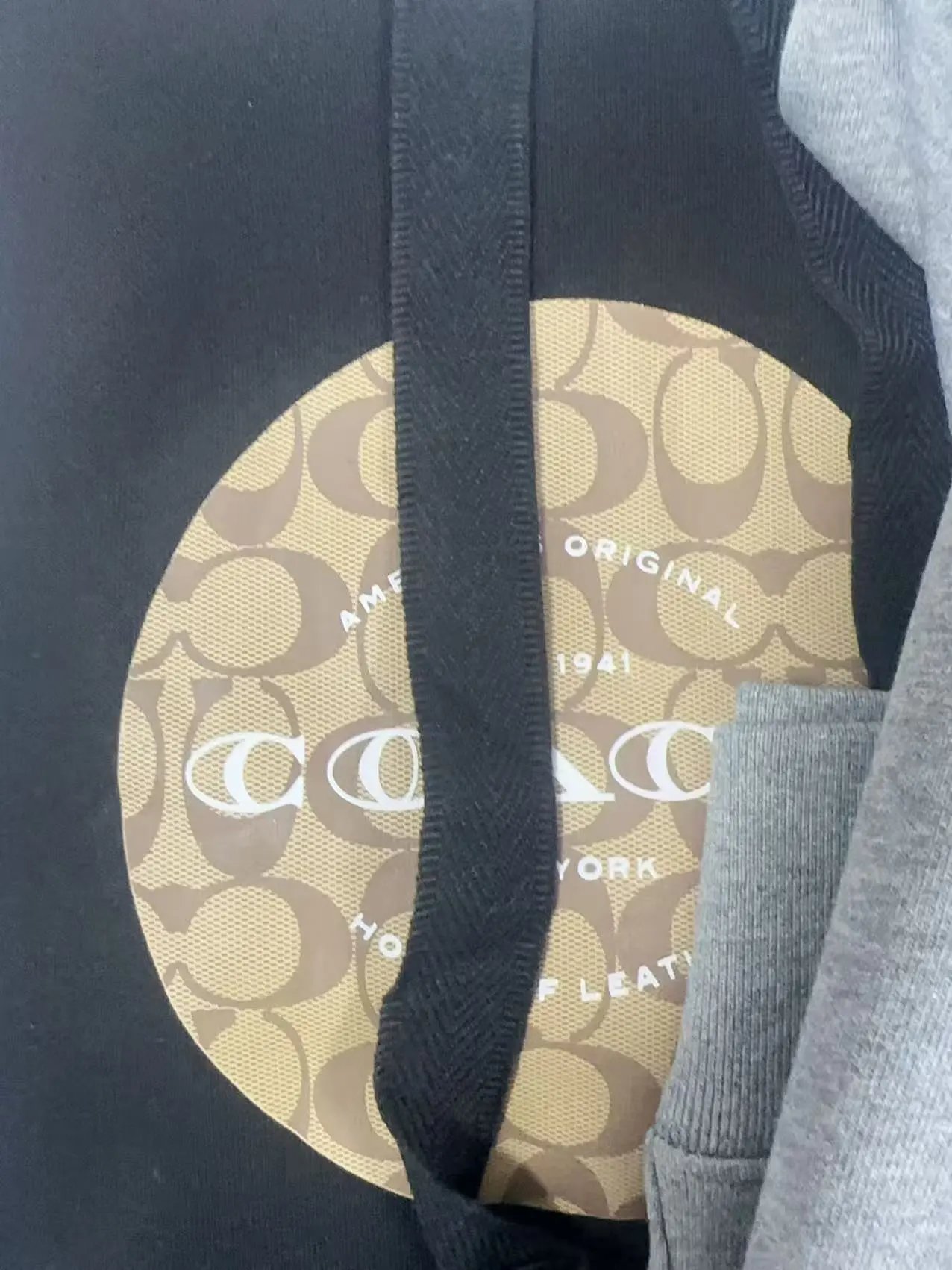 Coach Signature Circle Logo Hoodie Gray - 3